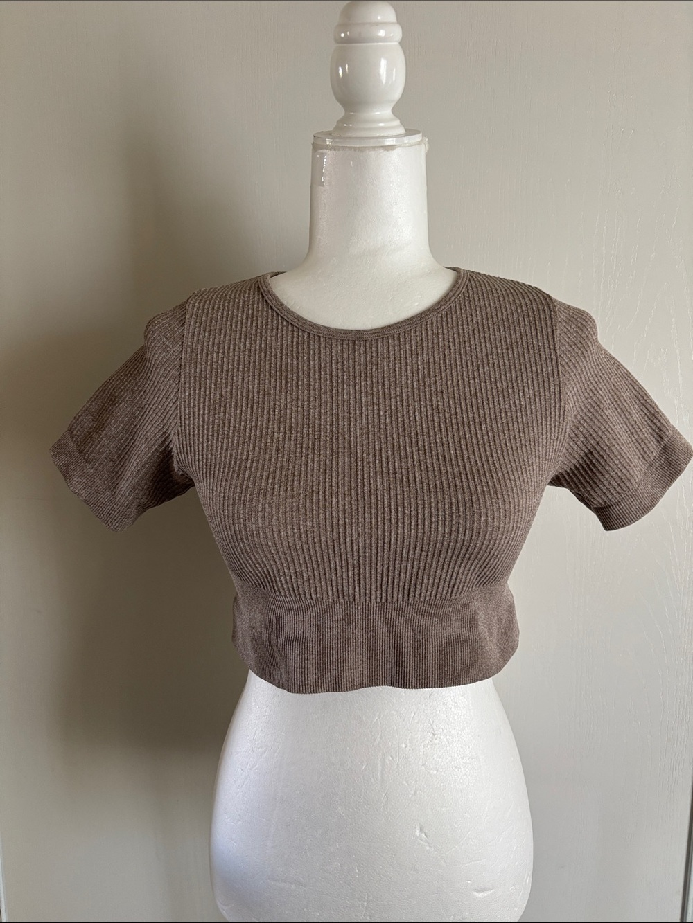 Ribbed Short Sleeve Crop Top in Brown